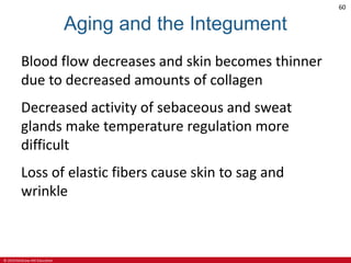 © 2019 McGraw-Hill Education
60
Aging and the Integument
Blood flow decreases and skin becomes thinner
due to decreased amounts of collagen
Decreased activity of sebaceous and sweat
glands make temperature regulation more
difficult
Loss of elastic fibers cause skin to sag and
wrinkle
 