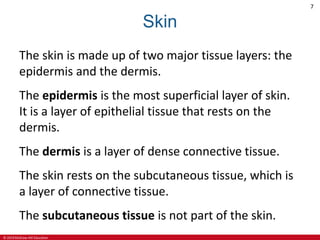 © 2019 McGraw-Hill Education
7
Skin
The skin is made up of two major tissue layers: the
epidermis and the dermis.
The epidermis is the most superficial layer of skin.
It is a layer of epithelial tissue that rests on the
dermis.
The dermis is a layer of dense connective tissue.
The skin rests on the subcutaneous tissue, which is
a layer of connective tissue.
The subcutaneous tissue is not part of the skin.
 