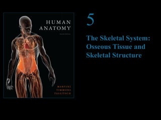 © 2012 Pearson Education, Inc. 
5 
The Skeletal System: 
Osseous Tissue and 
Skeletal Structure 
PowerPoint® Lecture Presentations prepared by 
Steven Bassett 
Southeast Community College 
Lincoln, Nebraska 
 