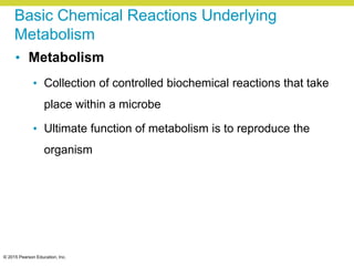 © 2015 Pearson Education, Inc.
Basic Chemical Reactions Underlying
Metabolism
• Metabolism
• Collection of controlled biochemical reactions that take
place within a microbe
• Ultimate function of metabolism is to reproduce the
organism
 
