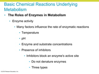 © 2015 Pearson Education, Inc.
Basic Chemical Reactions Underlying
Metabolism
• The Roles of Enzymes in Metabolism
• Enzyme activity
• Many factors influence the rate of enzymatic reactions
• Temperature
• pH
• Enzyme and substrate concentrations
• Presence of inhibitors
• Inhibitors block an enzyme's active site
• Do not denature enzymes
• Three types
 