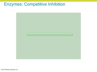 © 2015 Pearson Education, Inc.
Enzymes: Competitive Inhibition
 