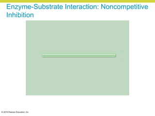 © 2015 Pearson Education, Inc.
Enzyme-Substrate Interaction: Noncompetitive
Inhibition
 