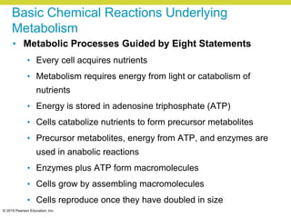 © 2015 Pearson Education, Inc.
Basic Chemical Reactions Underlying
Metabolism
• Metabolic Processes Guided by Eight Statements
• Every cell acquires nutrients
• Metabolism requires energy from light or catabolism of
nutrients
• Energy is stored in adenosine triphosphate (ATP)
• Cells catabolize nutrients to form precursor metabolites
• Precursor metabolites, energy from ATP, and enzymes are
used in anabolic reactions
• Enzymes plus ATP form macromolecules
• Cells grow by assembling macromolecules
• Cells reproduce once they have doubled in size
 