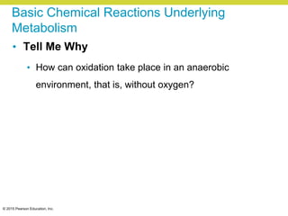© 2015 Pearson Education, Inc.
Basic Chemical Reactions Underlying
Metabolism
• Tell Me Why
• How can oxidation take place in an anaerobic
environment, that is, without oxygen?
 