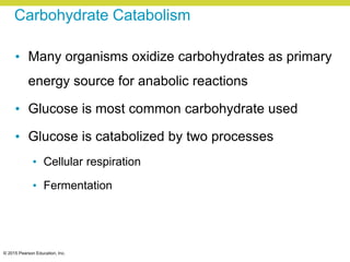 © 2015 Pearson Education, Inc.
Carbohydrate Catabolism
• Many organisms oxidize carbohydrates as primary
energy source for anabolic reactions
• Glucose is most common carbohydrate used
• Glucose is catabolized by two processes
• Cellular respiration
• Fermentation
 