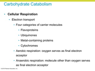 © 2015 Pearson Education, Inc.
Carbohydrate Catabolism
• Cellular Respiration
• Electron transport
• Four categories of carrier molecules
• Flavoproteins
• Ubiquinones
• Metal-containing proteins
• Cytochromes
• Aerobic respiration: oxygen serves as final electron
acceptor
• Anaerobic respiration: molecule other than oxygen serves
as final electron acceptor
 