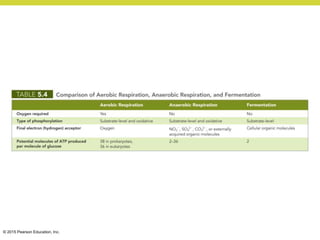 © 2015 Pearson Education, Inc.
 