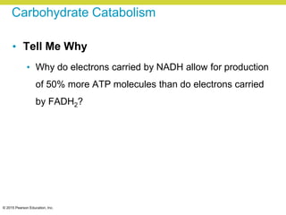 © 2015 Pearson Education, Inc.
Carbohydrate Catabolism
• Tell Me Why
• Why do electrons carried by NADH allow for production
of 50% more ATP molecules than do electrons carried
by FADH2?
 