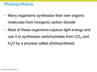 © 2015 Pearson Education, Inc.
Photosynthesis
• Many organisms synthesize their own organic
molecules from inorganic carbon dioxide
• Most of these organisms capture light energy and
use it to synthesize carbohydrates from CO2 and
H2O by a process called photosynthesis
 