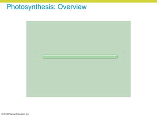 © 2015 Pearson Education, Inc.
Photosynthesis: Overview
 