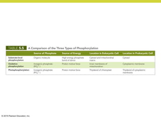 © 2015 Pearson Education, Inc.
 