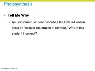 © 2015 Pearson Education, Inc.
Photosynthesis
• Tell Me Why
• An uninformed student describes the Calvin-Benson
cycle as "cellular respiration in reverse." Why is this
student incorrect?
 