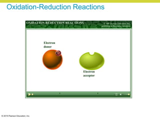 © 2015 Pearson Education, Inc.
Oxidation-Reduction Reactions
 