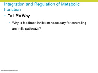© 2015 Pearson Education, Inc.
Integration and Regulation of Metabolic
Function
• Tell Me Why
• Why is feedback inhibition necessary for controlling
anabolic pathways?
 