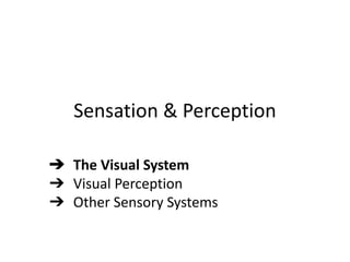 Sensation & Perception
➔ The Visual System
➔ Visual Perception
➔ Other Sensory Systems
 