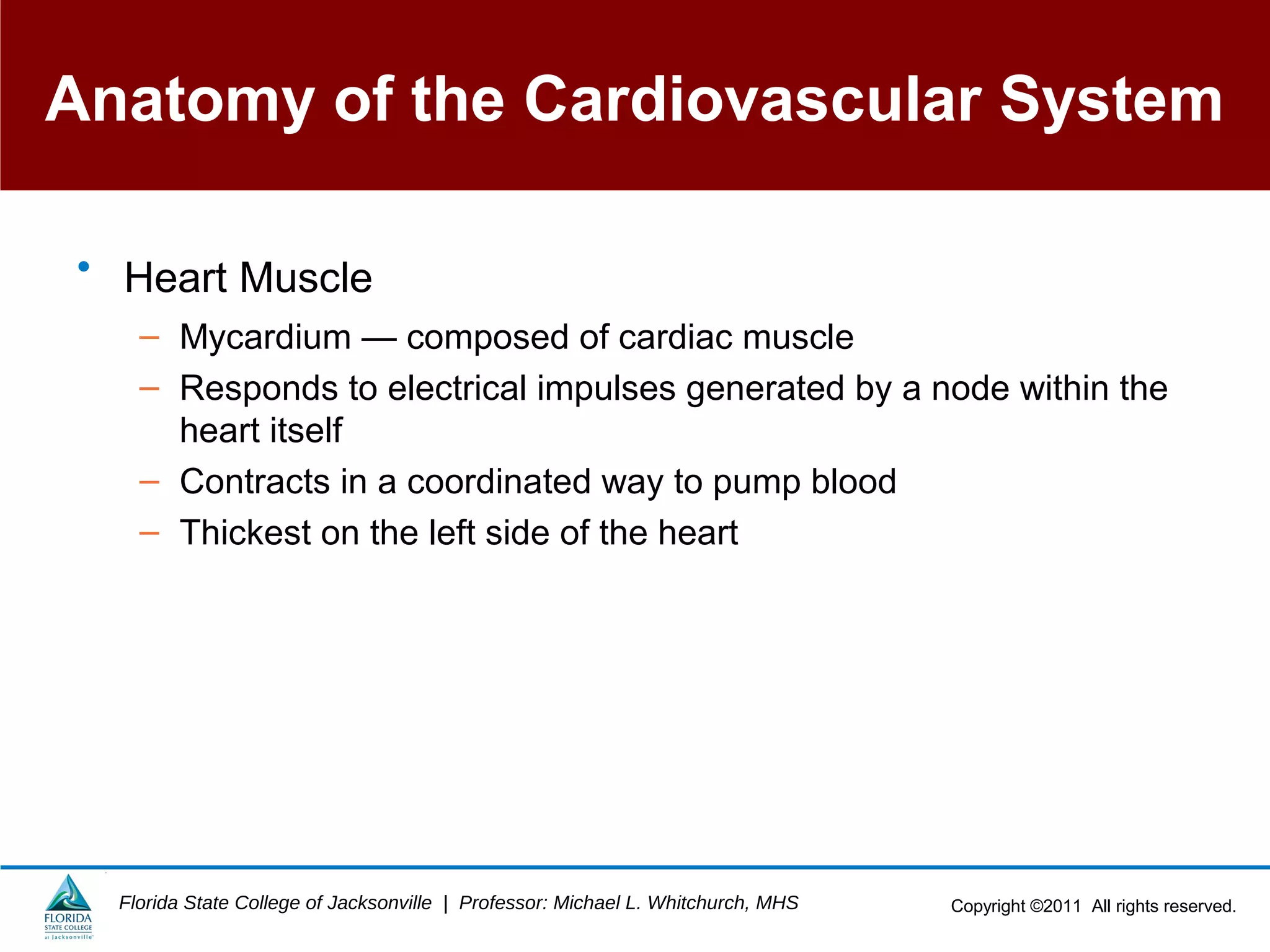 Copyright ©2011 All rights reserved.Florida State College of Jacksonville | Professor: Michael L. Whitchurch, MHS
Anatomy of the Cardiovascular System
• Heart Muscle
– Mycardium — composed of cardiac muscle
– Responds to electrical impulses generated by a node within the
heart itself
– Contracts in a coordinated way to pump blood
– Thickest on the left side of the heart
 