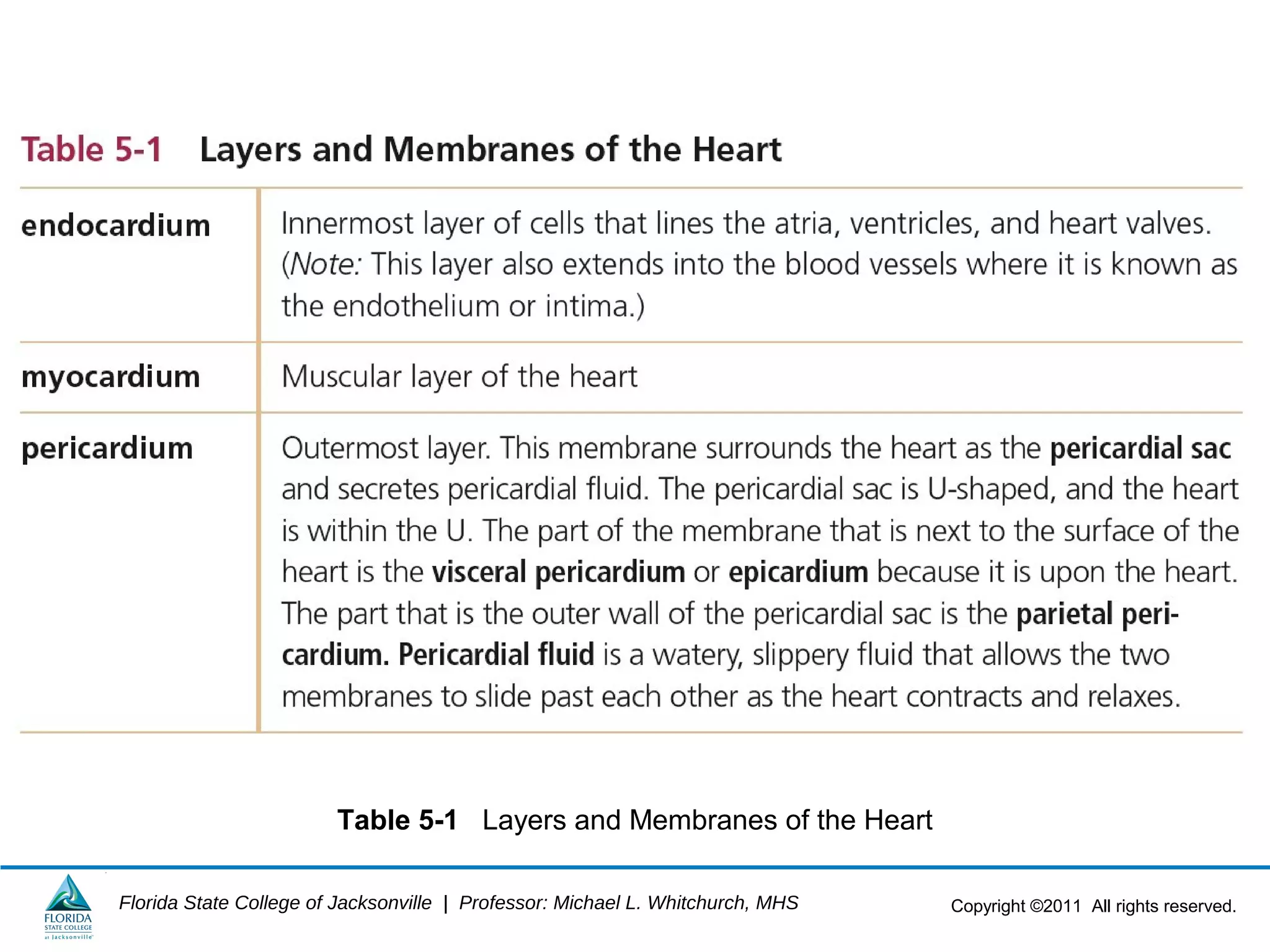 Copyright ©2011 All rights reserved.Florida State College of Jacksonville | Professor: Michael L. Whitchurch, MHS
Table 5-1 Layers and Membranes of the Heart
 