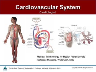 Cardiovascular SystemCardiovascular System
Cardiologist
Copyright ©2011 All rights reserved.Florida State College of Jacksonville | Professor: Michael L. Whitchurch, MHS
Medical Terminology for Health Professionals
Professor: Michael L. Whitchurch, MHS
 