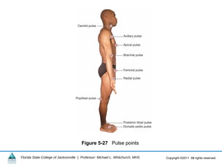 Cardiovascular System | Cardiology | PPT