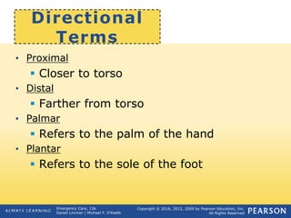 Copyright © 2016, 2012, 2009 by Pearson Education, Inc.
All Rights Reserved
Emergency Care, 13e
Daniel Limmer | Michael F. O'Keefe
Directional
Terms
• Proximal
 Closer to torso
• Distal
 Farther from torso
• Palmar
 Refers to the palm of the hand
• Plantar
 Refers to the sole of the foot
 