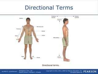 Copyright © 2016, 2012, 2009 by Pearson Education, Inc.
All Rights Reserved
Emergency Care, 13e
Daniel Limmer | Michael F. O'Keefe
Directional Terms
Directional terms.
 