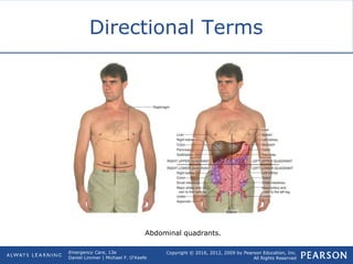 Copyright © 2016, 2012, 2009 by Pearson Education, Inc.
All Rights Reserved
Emergency Care, 13e
Daniel Limmer | Michael F. O'Keefe
Directional Terms
Abdominal quadrants.
 