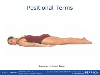 Copyright © 2016, 2012, 2009 by Pearson Education, Inc.
All Rights Reserved
Emergency Care, 13e
Daniel Limmer | Michael F. O'Keefe
Positional Terms
Anatomic positions: Prone
 
