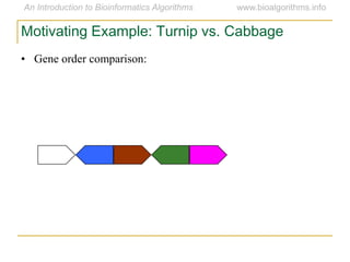 Motivating Example: Turnip vs. Cabbage
• Gene order comparison:
 