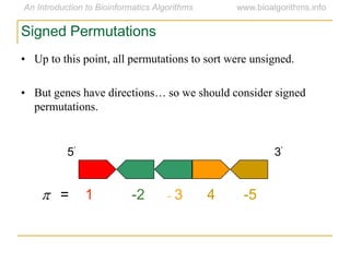 Signed Permutations
• Up to this point, all permutations to sort were unsigned.
• But genes have directions… so we should consider signed
permutations.
5’ 3’
p = 1 -2 - 3 4 -5
 