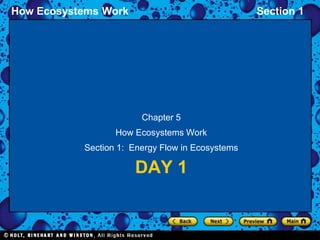 How Ecosystems Work Section 1
DAY 1
Chapter 5
How Ecosystems Work
Section 1: Energy Flow in Ecosystems
 