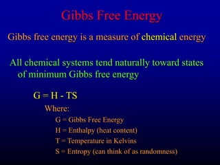 Ch 05 Thermodynamics.ppt