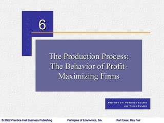 The Production Process: The Behavior of Profit- Maximizing Firms 
