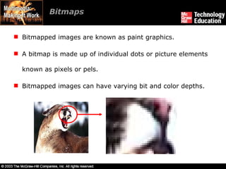 Bitmaps  Bitmapped images are known as paint graphics. A bitmap is made up of individual dots or picture elements known as pixels or pels. Bitmapped images can have varying bit and color depths. 
