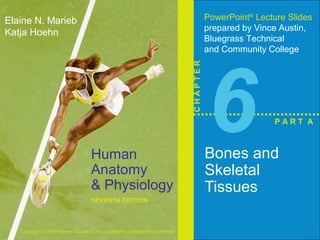 Human 
Anatomy 
& Physiology 
SEVENTH EDITION 
Elaine N. Marieb 
Katja Hoehn 
Copyright © 2006 Pearson Education, Inc., publishing as Benjamin Cummings 
PowerPoint® Lecture Slides 
prepared by Vince Austin, 
Bluegrass Technical 
and Community College 
C H A P T E R 6Bones and 
Skeletal 
Tissues 
P A R T A 
 