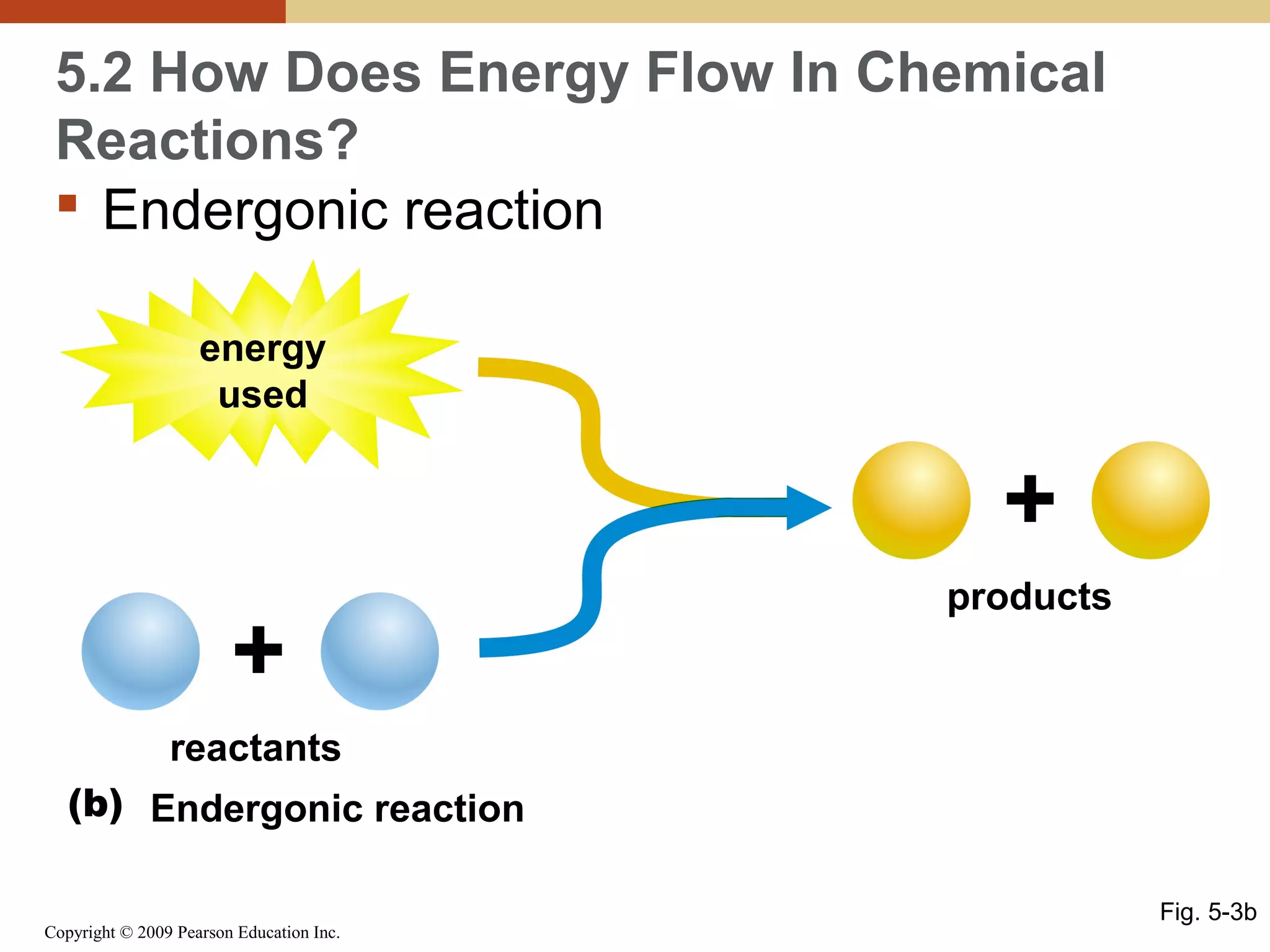 5.2 How Does Energy Flow In Chemical
Reactions?
 Endergonic reaction
energy
used

+
+

products

reactants
(b) Endergonic reaction
Copyright © 2009 Pearson Education Inc.

Fig. 5-3b

 