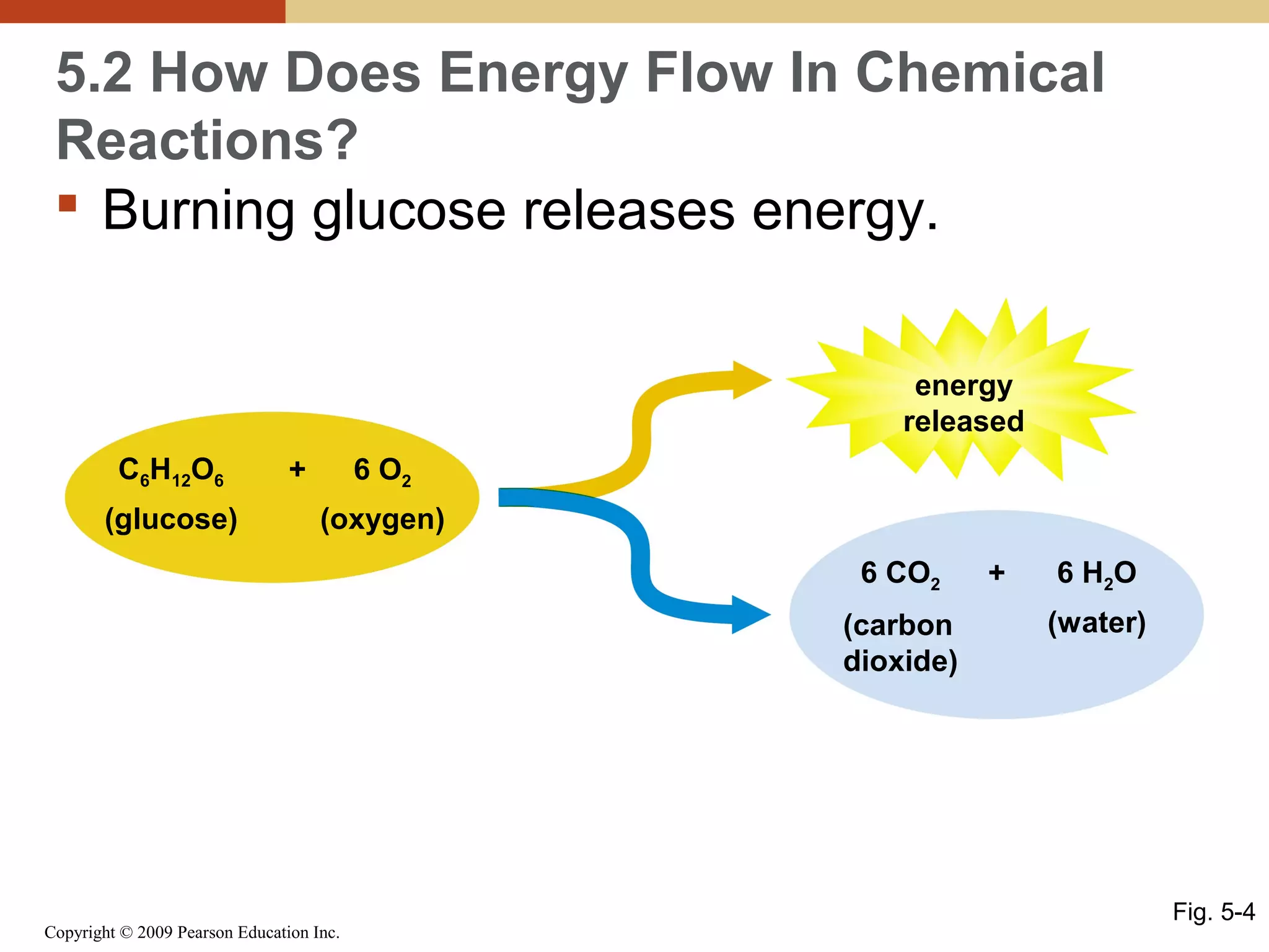 5.2 How Does Energy Flow In Chemical
Reactions?
 Burning glucose releases energy.
energy
released
C6H12O6
(glucose)

+

6 O2
(oxygen)
6 CO2
(carbon
dioxide)

Copyright © 2009 Pearson Education Inc.

+

6 H2O
(water)

Fig. 5-4

 