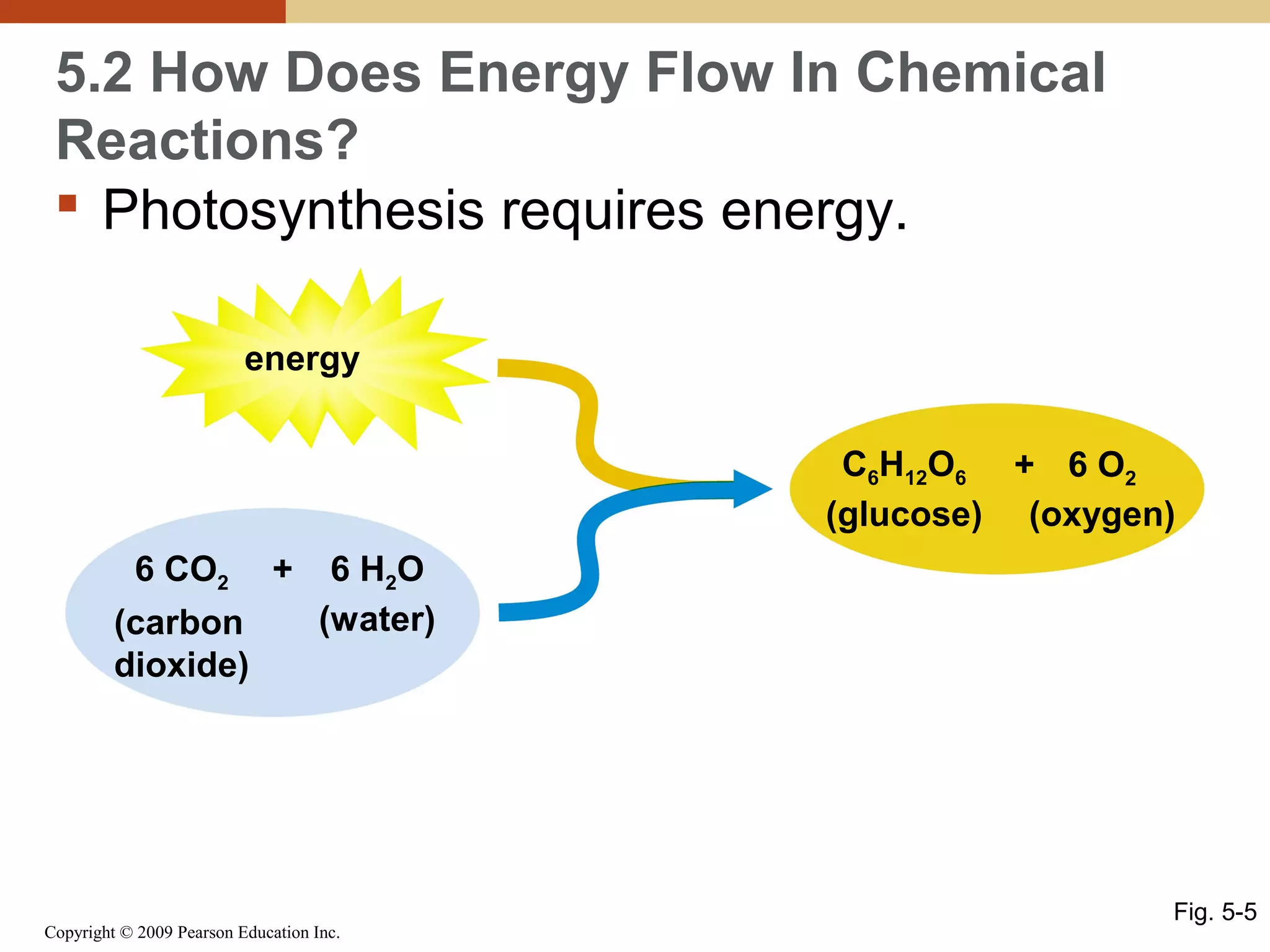 5.2 How Does Energy Flow In Chemical
Reactions?
 Photosynthesis requires energy.
energy
C6H12O6 + 6 O2
(glucose) (oxygen)
6 CO2
(carbon
dioxide)

+

6 H 2O
(water)

Copyright © 2009 Pearson Education Inc.

Fig. 5-5

 