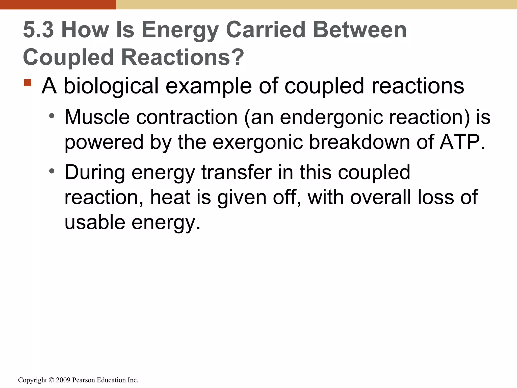 5.3 How Is Energy Carried Between
Coupled Reactions?
 A biological example of coupled reactions
• Muscle contraction (an endergonic reaction) is
powered by the exergonic breakdown of ATP.
• During energy transfer in this coupled
reaction, heat is given off, with overall loss of
usable energy.

Copyright © 2009 Pearson Education Inc.

 
