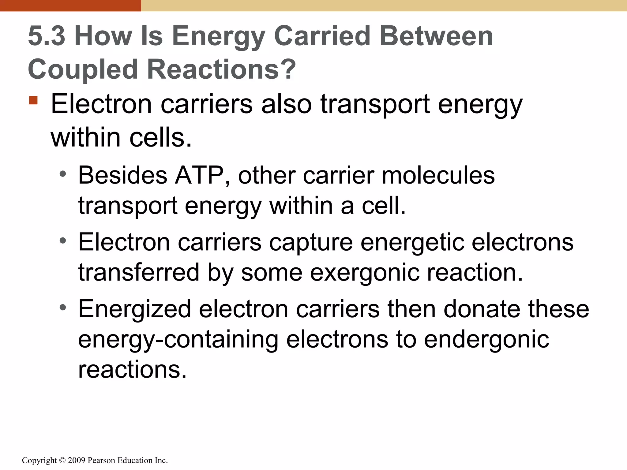 5.3 How Is Energy Carried Between
Coupled Reactions?
 Electron carriers also transport energy
within cells.
• Besides ATP, other carrier molecules
transport energy within a cell.
• Electron carriers capture energetic electrons
transferred by some exergonic reaction.
• Energized electron carriers then donate these
energy-containing electrons to endergonic
reactions.

Copyright © 2009 Pearson Education Inc.

 