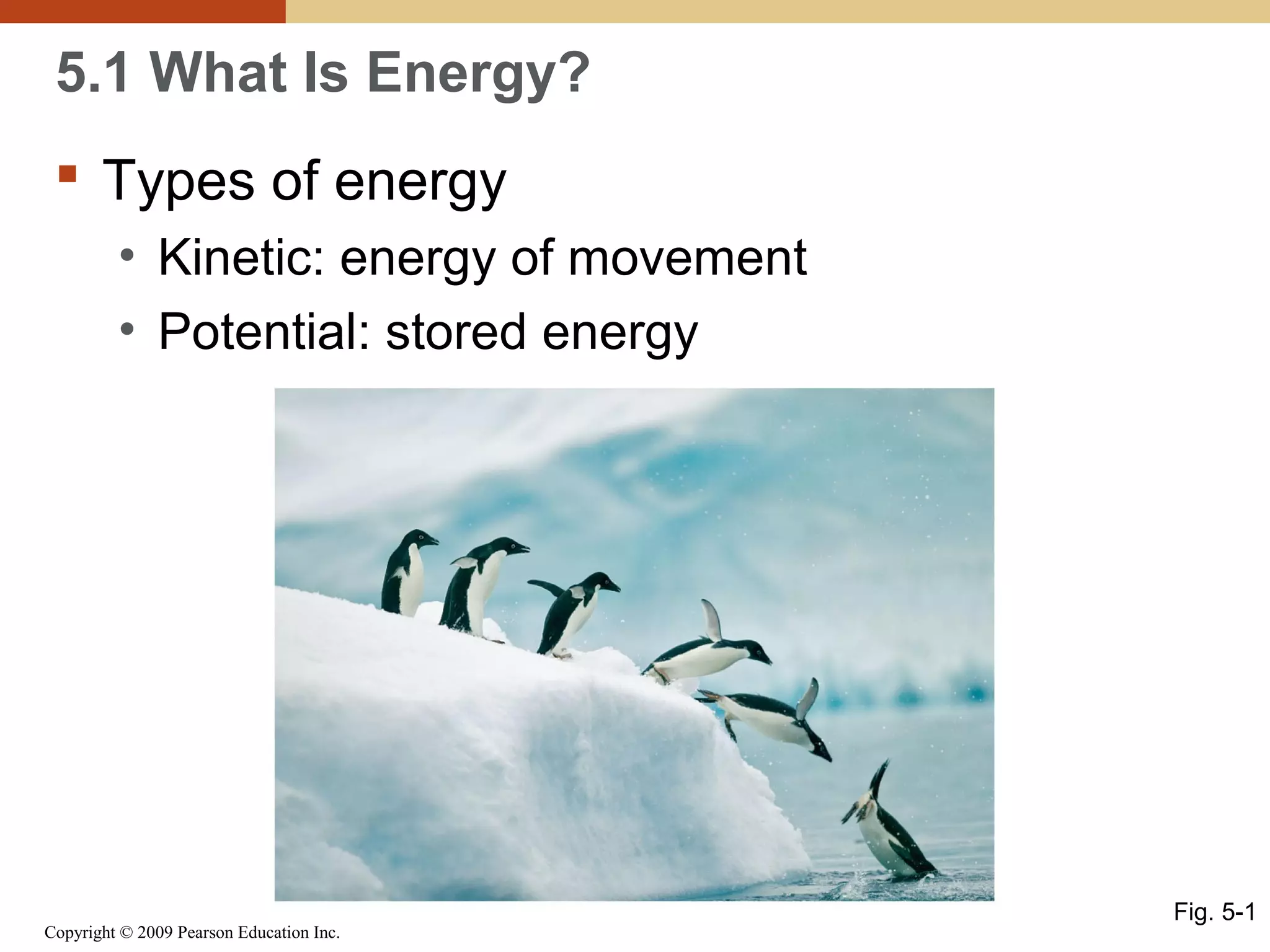 5.1 What Is Energy?
 Types of energy
• Kinetic: energy of movement
• Potential: stored energy

Copyright © 2009 Pearson Education Inc.

Fig. 5-1

 