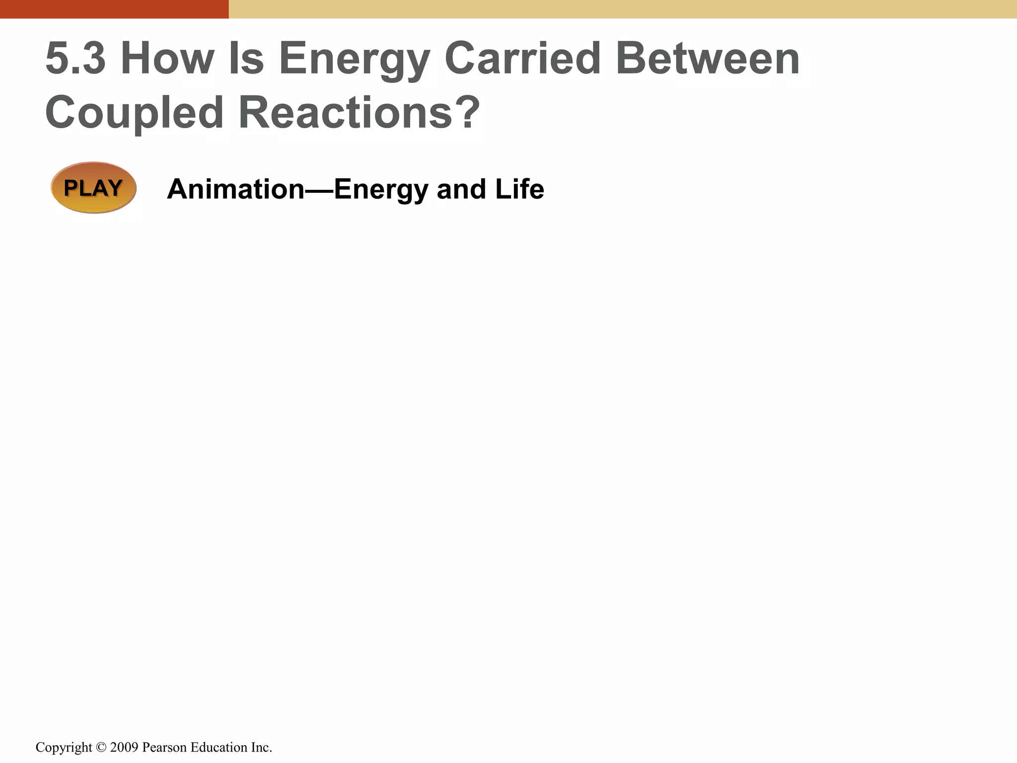 5.3 How Is Energy Carried Between
Coupled Reactions?
PLAY

Animation—Energy and Life

Copyright © 2009 Pearson Education Inc.

 