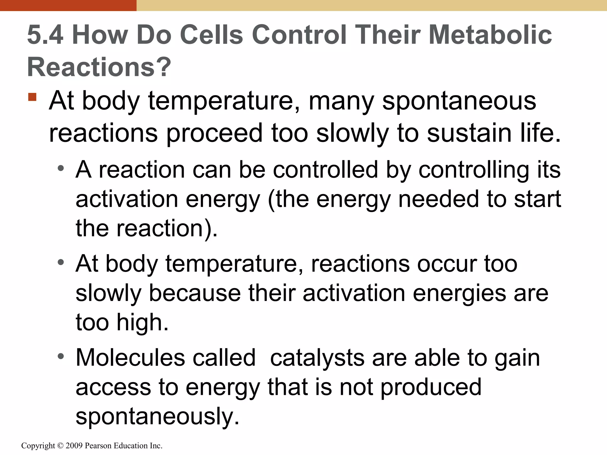 5.4 How Do Cells Control Their Metabolic
Reactions?
 At body temperature, many spontaneous
reactions proceed too slowly to sustain life.
• A reaction can be controlled by controlling its
activation energy (the energy needed to start
the reaction).
• At body temperature, reactions occur too
slowly because their activation energies are
too high.
• Molecules called catalysts are able to gain
access to energy that is not produced
spontaneously.
Copyright © 2009 Pearson Education Inc.

 