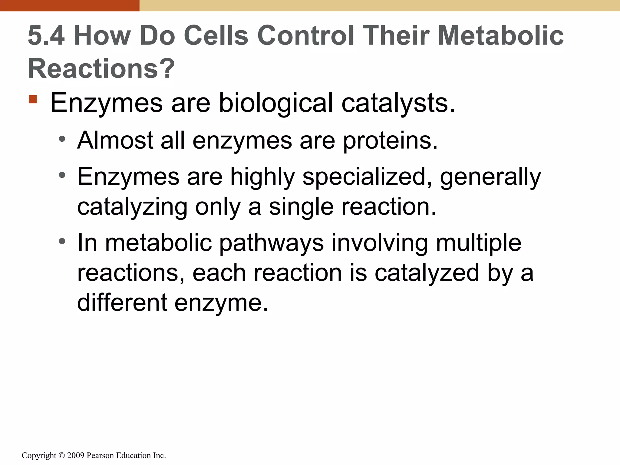 5.4 How Do Cells Control Their Metabolic
Reactions?
 Enzymes are biological catalysts.
• Almost all enzymes are proteins.
• Enzymes are highly specialized, generally
catalyzing only a single reaction.
• In metabolic pathways involving multiple
reactions, each reaction is catalyzed by a
different enzyme.

Copyright © 2009 Pearson Education Inc.

 