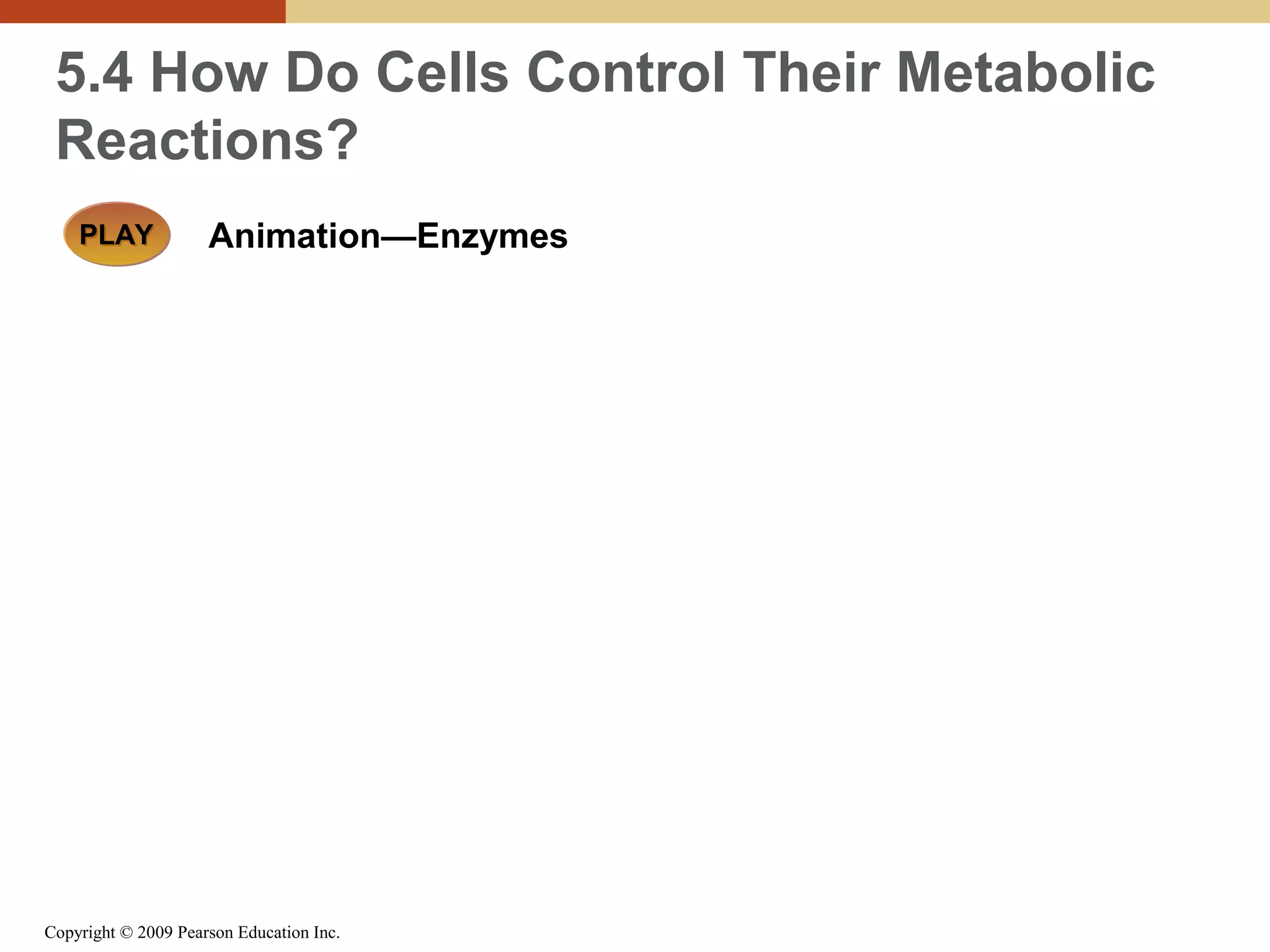 5.4 How Do Cells Control Their Metabolic
Reactions?
PLAY

Animation—Enzymes

Copyright © 2009 Pearson Education Inc.

 