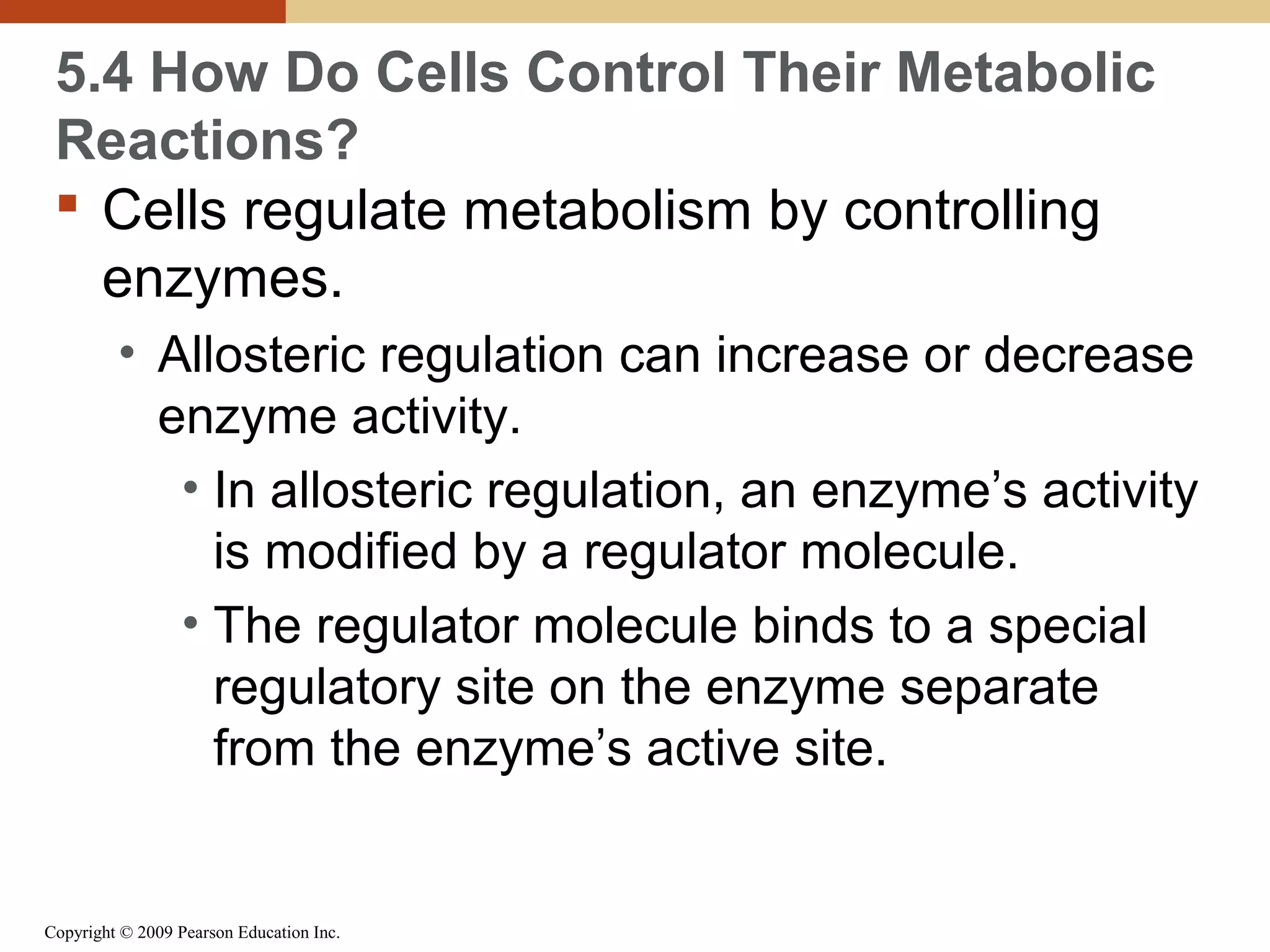 5.4 How Do Cells Control Their Metabolic
Reactions?
 Cells regulate metabolism by controlling
enzymes.
• Allosteric regulation can increase or decrease
enzyme activity.
• In allosteric regulation, an enzyme’s activity
is modified by a regulator molecule.
• The regulator molecule binds to a special
regulatory site on the enzyme separate
from the enzyme’s active site.

Copyright © 2009 Pearson Education Inc.

 