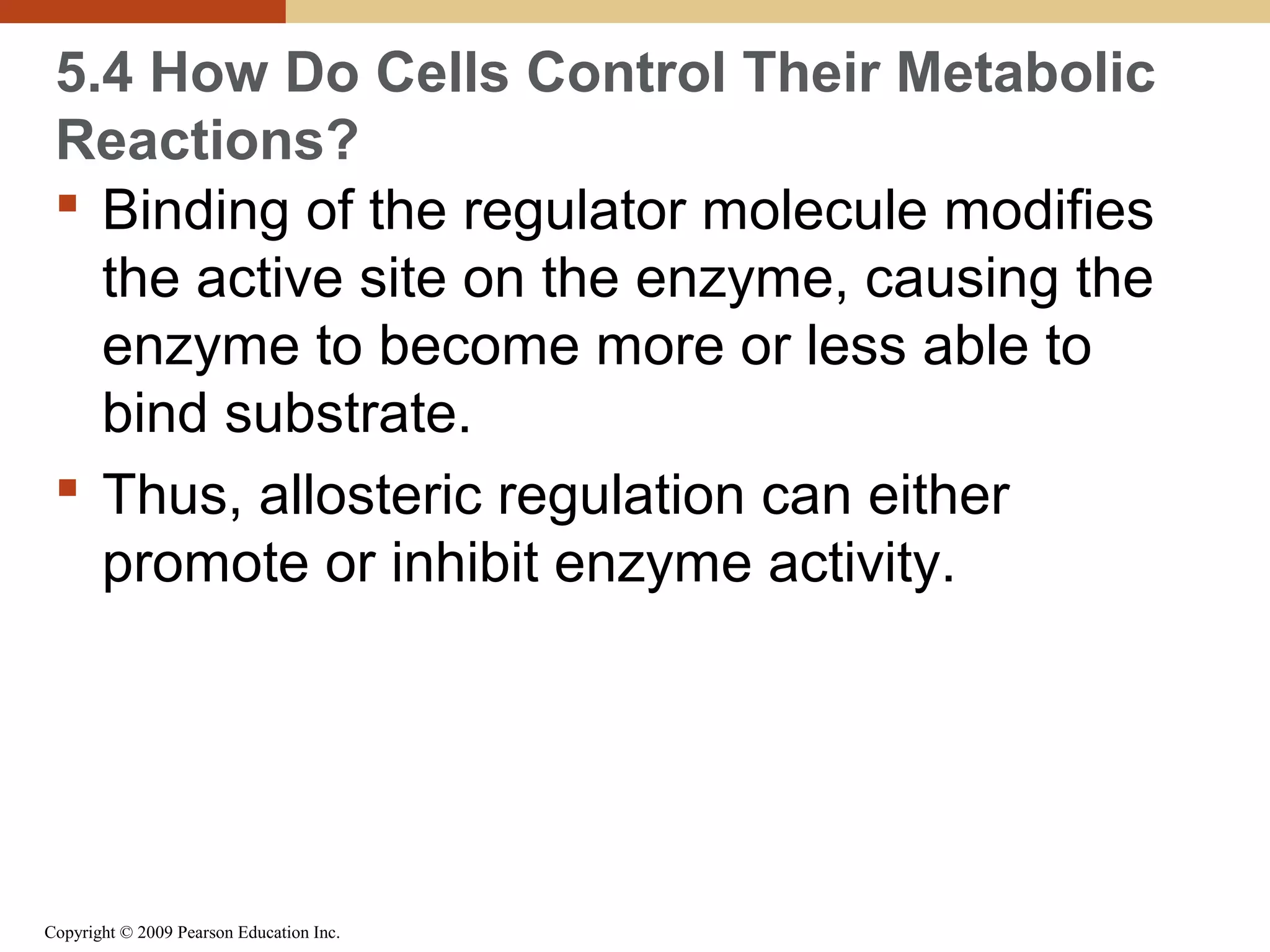 5.4 How Do Cells Control Their Metabolic
Reactions?
 Binding of the regulator molecule modifies
the active site on the enzyme, causing the
enzyme to become more or less able to
bind substrate.
 Thus, allosteric regulation can either
promote or inhibit enzyme activity.

Copyright © 2009 Pearson Education Inc.

 