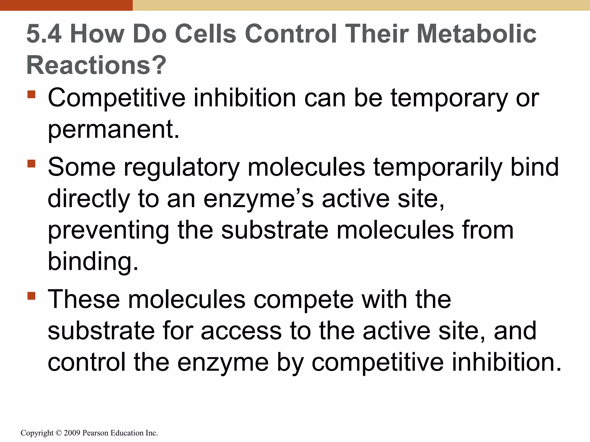 5.4 How Do Cells Control Their Metabolic
Reactions?
 Competitive inhibition can be temporary or
permanent.
 Some regulatory molecules temporarily bind
directly to an enzyme’s active site,
preventing the substrate molecules from
binding.
 These molecules compete with the
substrate for access to the active site, and
control the enzyme by competitive inhibition.
Copyright © 2009 Pearson Education Inc.

 