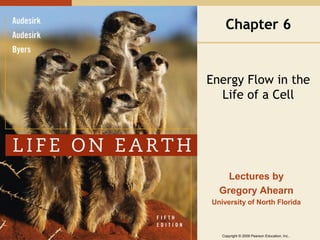 Chapter 6

Energy Flow in the
Life of a Cell

Lectures by
Gregory Ahearn
University of North Florida

Copyright © 2009 Pearson Education, Inc..

 