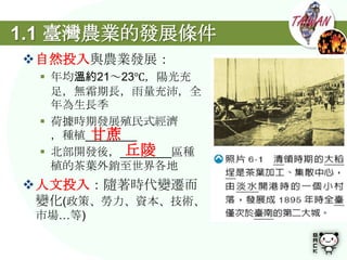 1.1 臺灣農業的發展條件
自然投入與農業發展：
  年均溫約21～23℃，陽光充
   足，無霜期長，雨量充沛，全
   年為生長季
  荷據時期發展殖民式經濟
       甘蔗
   ，種植________
            丘陵
  北部開發後，________區種
   植的茶葉外銷至世界各地
人文投入：隨著時代變遷而
 變化(政策、勞力、資本、技術、
 市場…等)
 